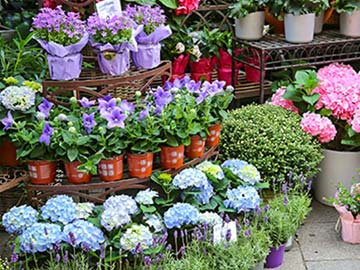 SHOP BY DEPARTMENT Garden Category